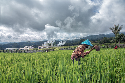 Geothermal Sorik merapi menumbuhkan ekonomi dan pertanian