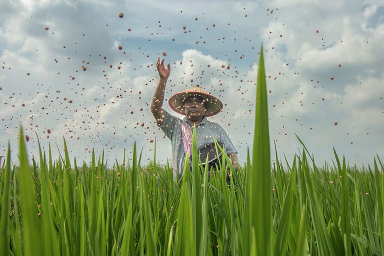 Napas Pupuk Bersubsidi untuk Pencapaian Kedaulatan dan Ketahanan Pangan Nasional