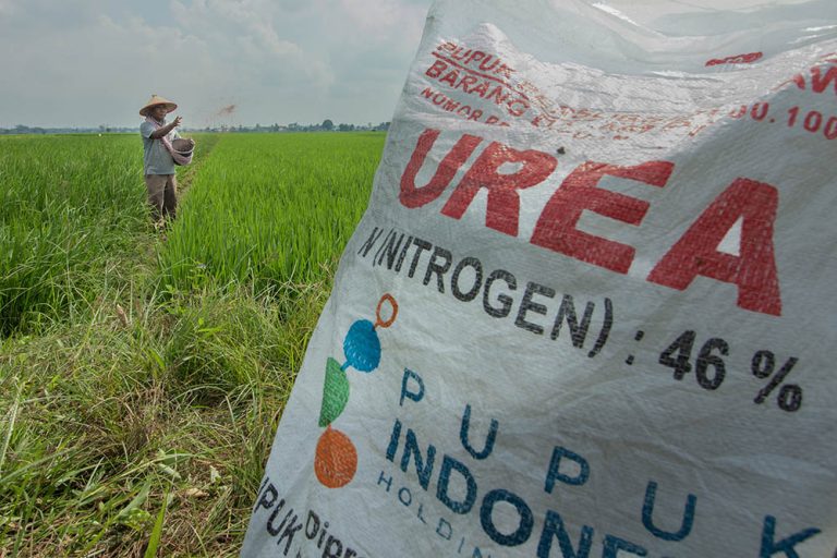 Produktivitas pertanian terhadap pupuk bersubsidi di lahan petani Deli Serdang